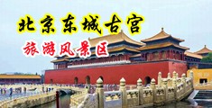 中国特大鸡吧瘦青年插女人真实影院视频中国北京-东城古宫旅游风景区